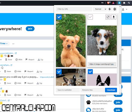 اکستنشن گوگل کروم Image Downloader